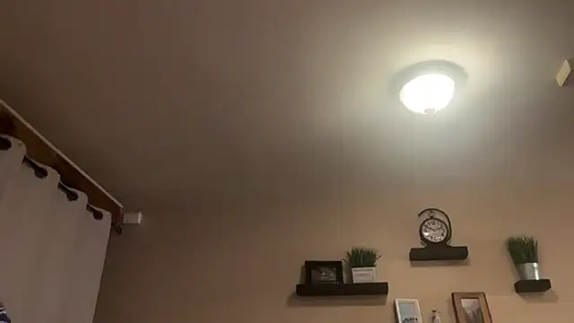 Show de mr_mrs_glitter na webcam