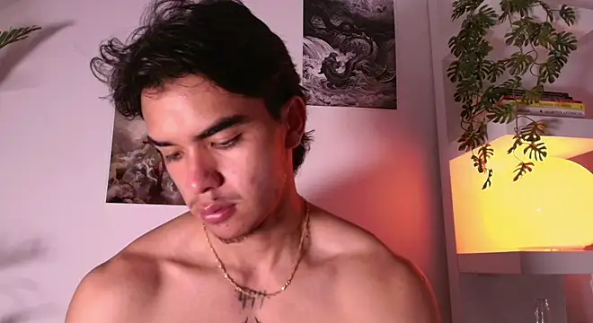 andyypalmer_n Webbikameraesitys