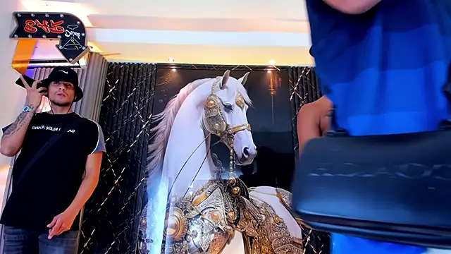 Show Webcam de the_knights_of_the_night_