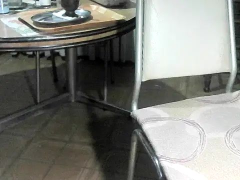 Show Webcam de OreCam