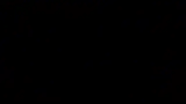 OvermuchMaid: διαδικτυακό σόου στην κάμερα