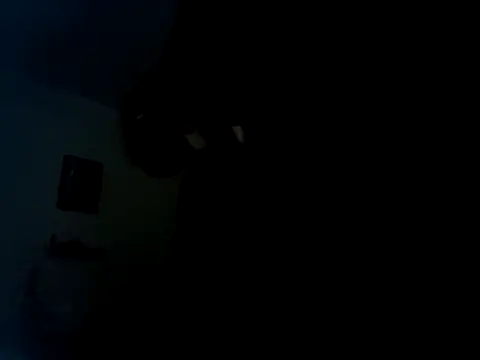 Show webcam de Prettyvsmonster