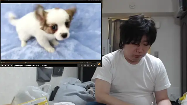 Show Webcam de raterate555