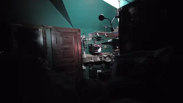 charactrzero 라이브 XXX 채팅