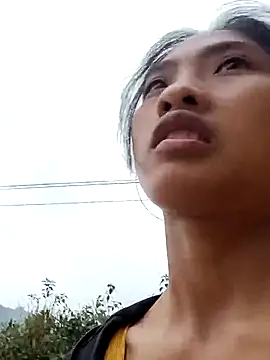 Hoa-tuylip Show in webcam