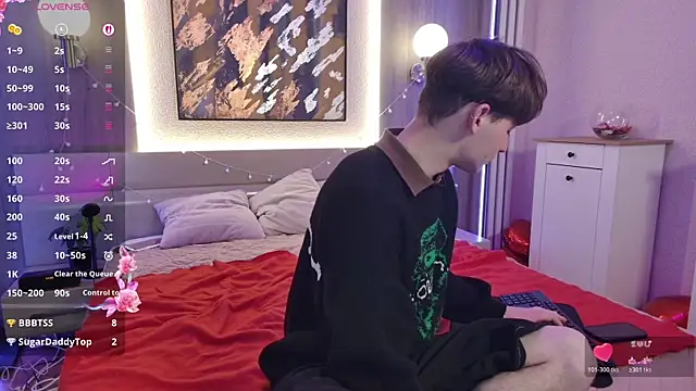 Vinsant_Xのウェブカメラショー