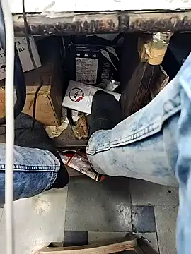 X-boy-11n Webbikameraesitys