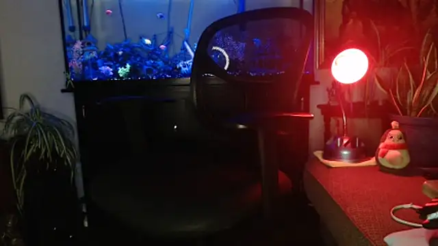 EspanolVato's Webcam Show