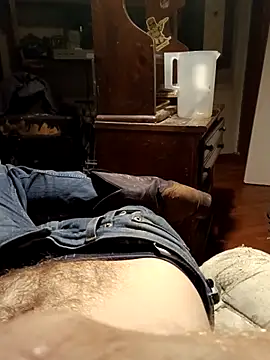 Show webcam de Dt311dt