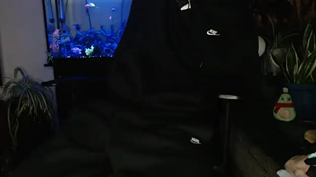 EspanolVaton Webbikameraesitys