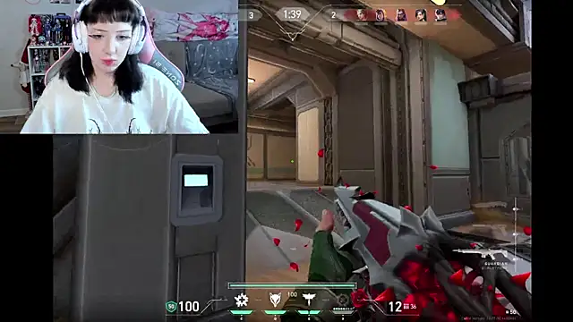 MollysLand live XXX chat