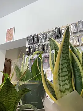 mewKate Live XXX-Chat