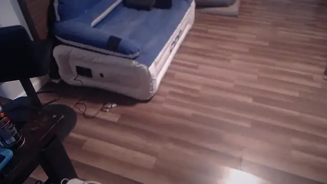 Show webcam de flexingplexico