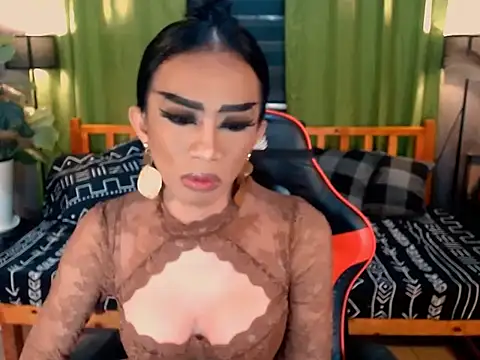 VeshtidaTS 网络视讯表演