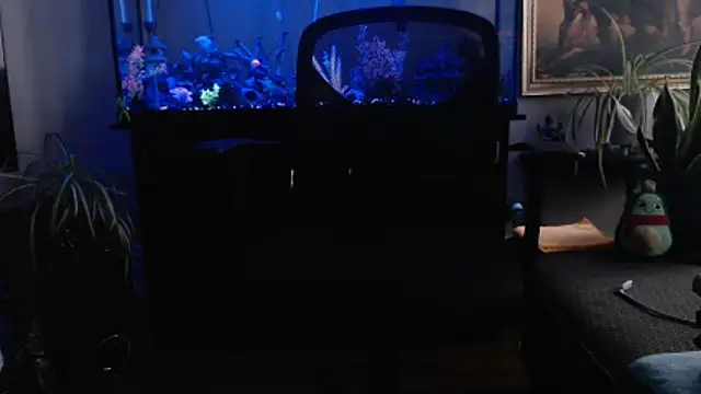 EspanolVato Show Webcam