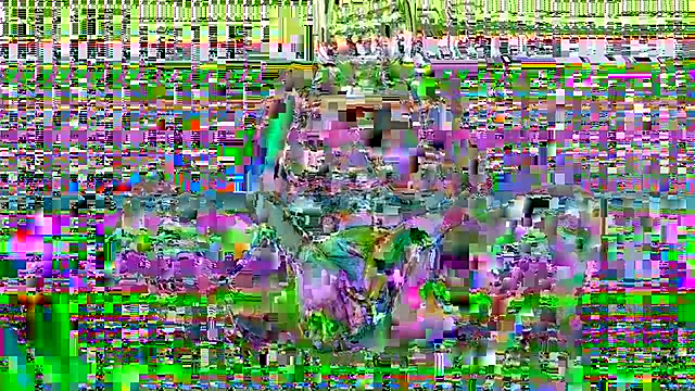 NunuBerry16 Obrolan Langsung XXX