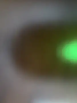 Show webcam de happyroamer57