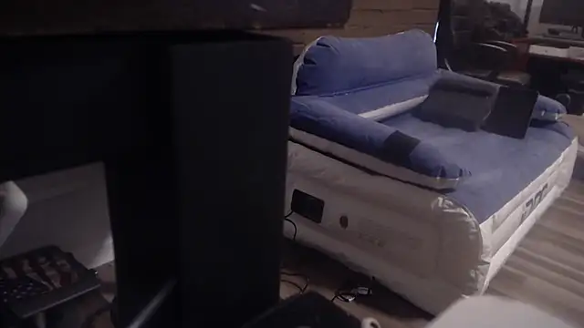 Show webcam de flexingplexico