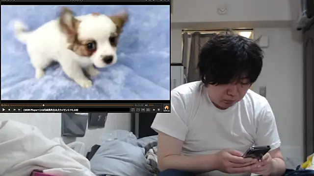 عرض كام raterate555