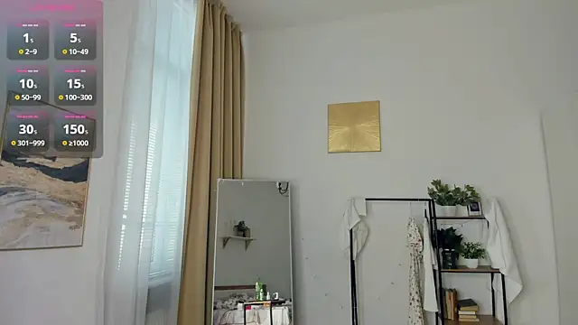 Show webcam de FaaBinaa