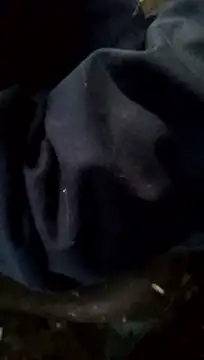 Wero4200's Live XXX Chat