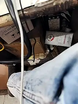 X-boy-11: διαδικτυακό σόου στην κάμερα