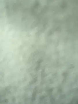 CoralsnakeX Live XXX-Chat