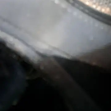 walddrinker Pertunjukan Webcam