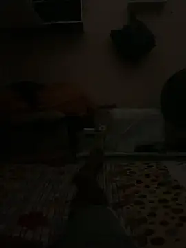 Show de webcam de Thiago9230