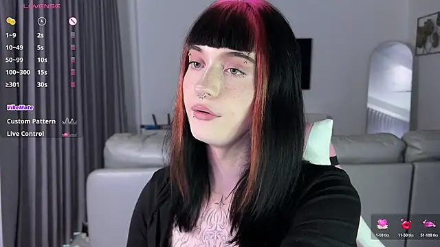 Vailyreb_n Webbikameraesitys