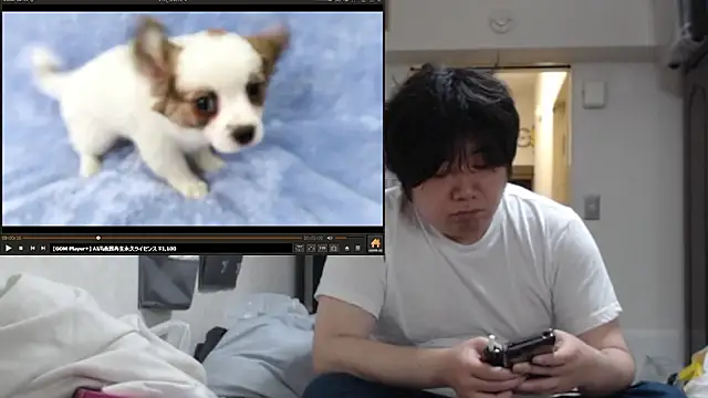 raterate555 现场XXX聊天