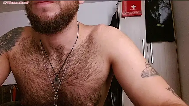 DominanThewolff 웹캠 쇼