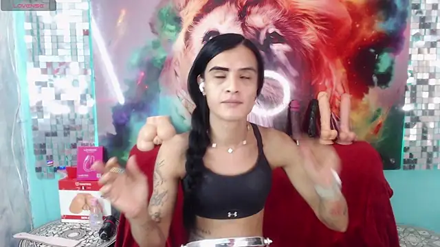 ZAMMIRAn Webbikameraesitys