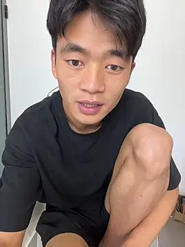 NV-1のウェブカメラショー