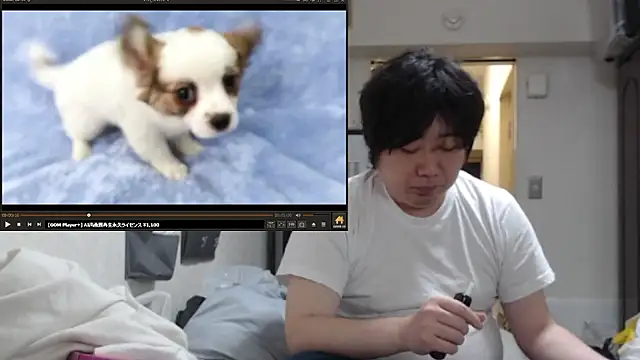 Show Webcam de raterate555