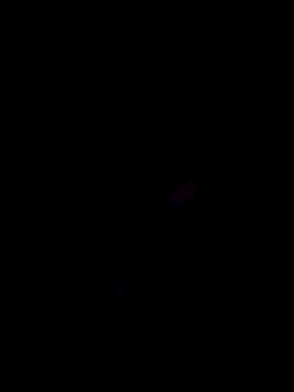 Your_Ankita Webcam show