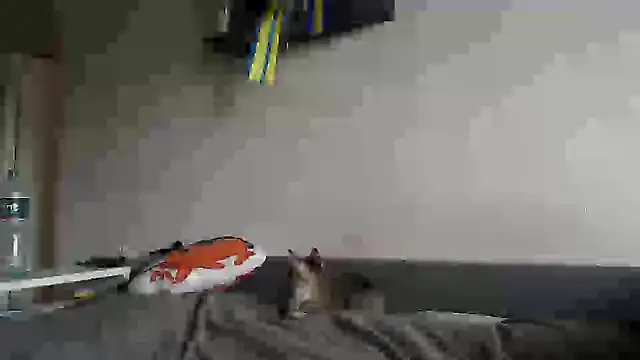 Chat XXX Live delightful_sofi