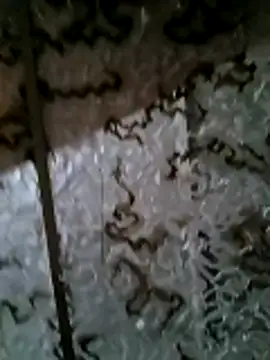 efiopsava21 – Kamerová šou