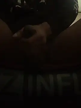 Whg_Treyyy1n Webbikameraesitys