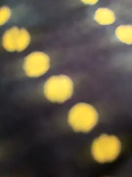 Villageanuty's Live XXX Chat