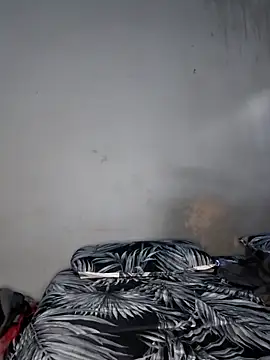 عرض كام celazimnike062127