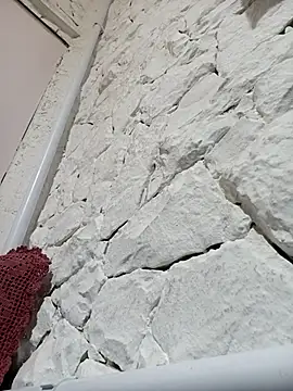 Show webcam de Mailsonp