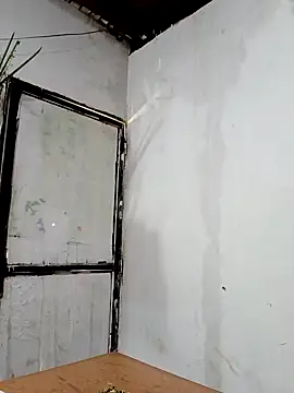 Tequilamastern Webbikameraesitys