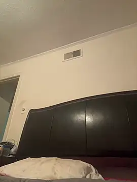 ThickDic28 Show Webcam