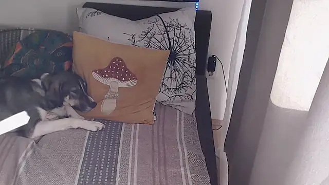 XXX chat uživo modela AlienforTwenty