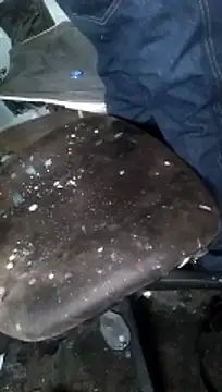 Show Webcam de Wero4200