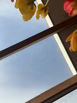 Show de SummerHoney na webcam