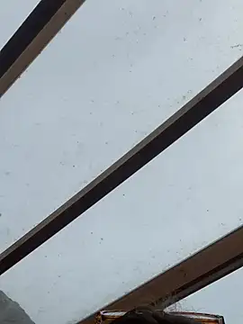 SummerHoney Webcamshow