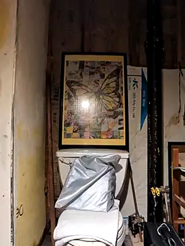 Sinuel – webcam-show