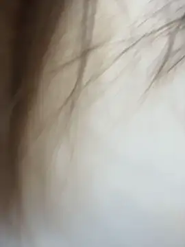 AnitaFly Obrolan Langsung XXX